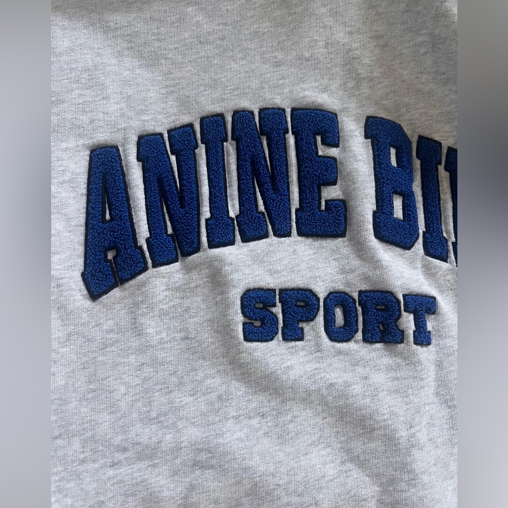 Anine Bing Sport Light Gray Tyler Hoodie - Picture 3 of 9